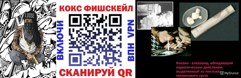 Купить закладки  Ершов  COCAIN 98% 