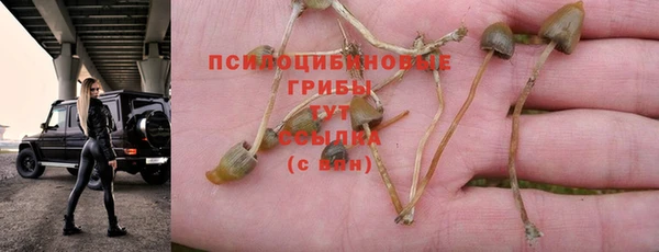 mdma Касимов