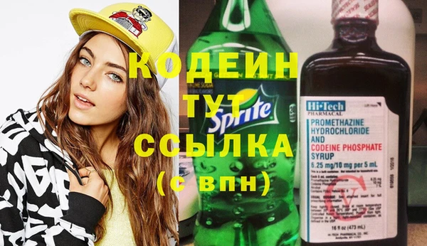 гашик Карпинск