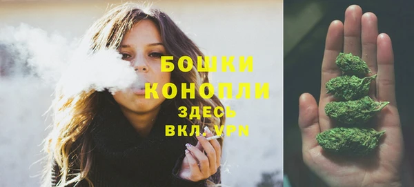 гашик Карпинск