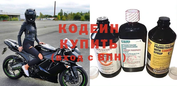 гашик Карпинск