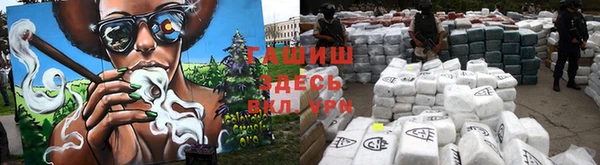 гашик Карпинск