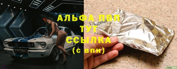 гашик Карпинск