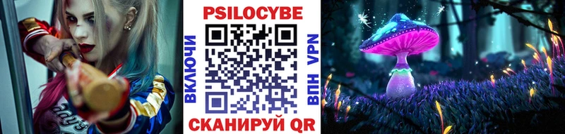 Псилоцибиновые грибы прущие грибы  Купить закладки  Ершов 